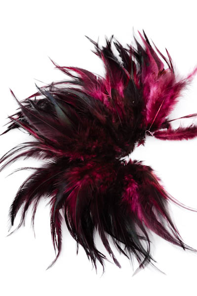 Coq flammé - 10-15 cm - bordeaux